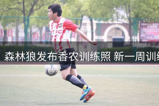 森林狼发布香农训练照 新一周训练展开