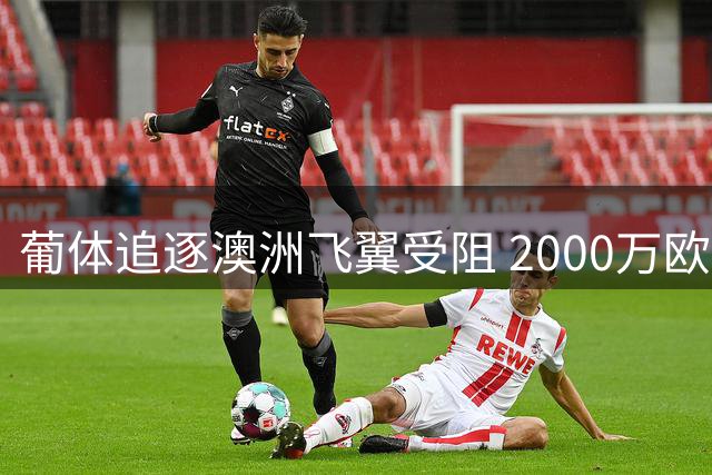 葡体追逐澳洲飞翼受阻 2000万欧要价成转会"拦路虎