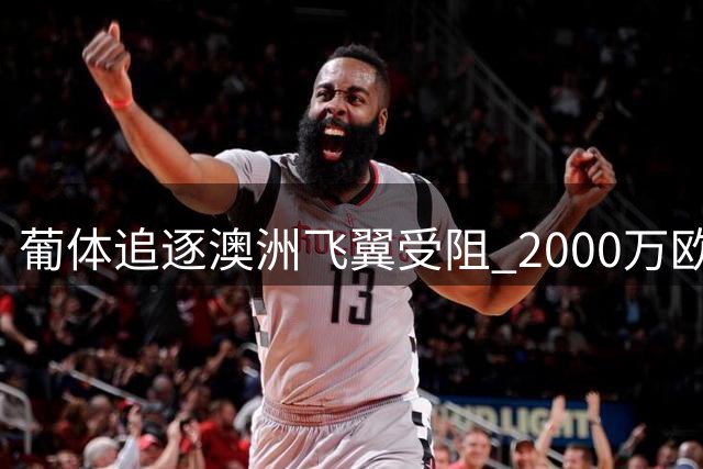 葡体追逐澳洲飞翼受阻 2000万欧要价成转会"拦路虎